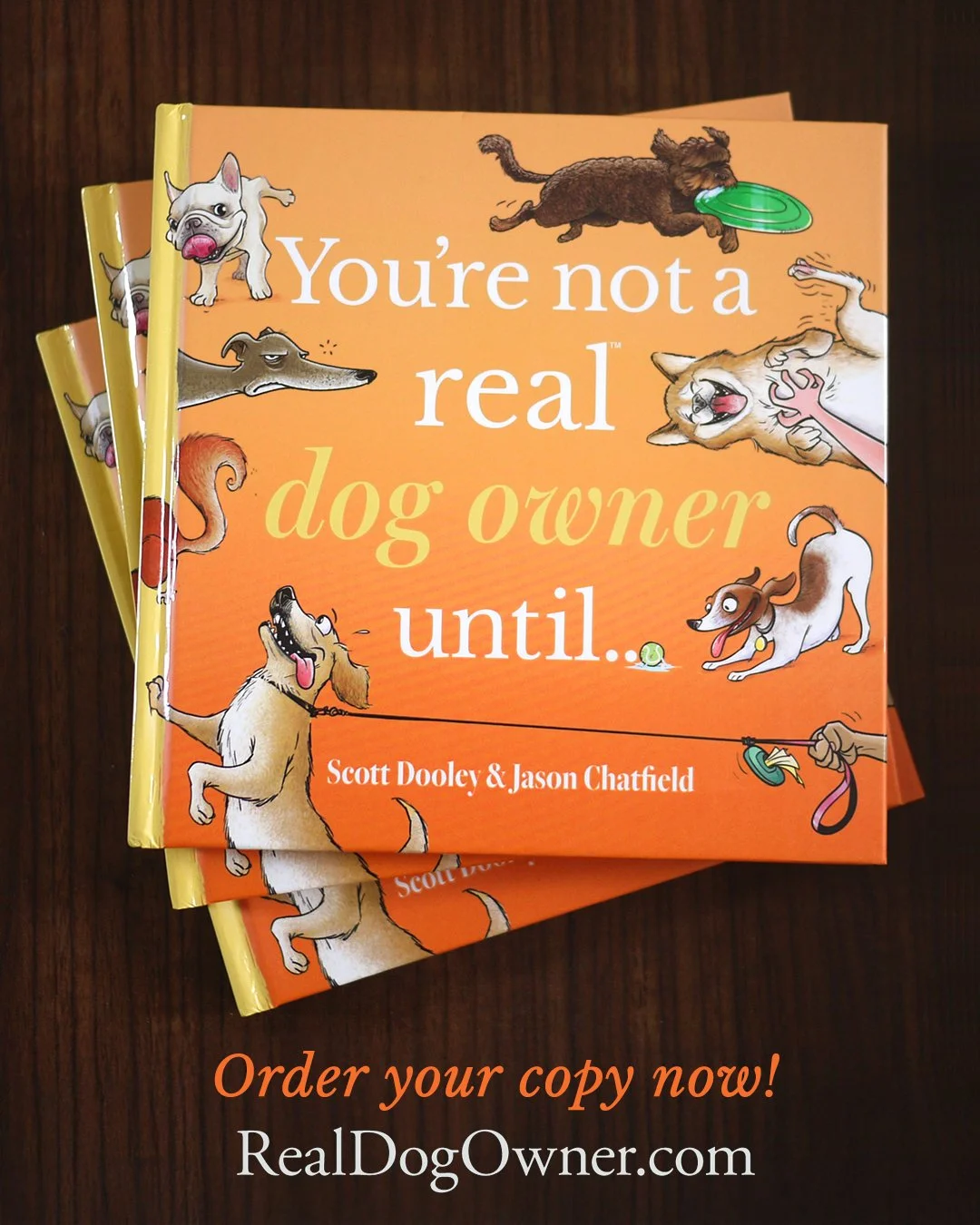 Barks & Recreation: The Book Launch Where Your Dog Is Actually
